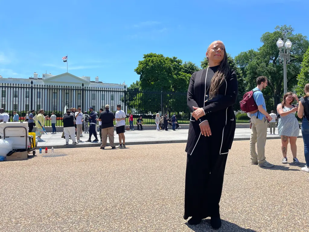 Denise take it down act dc