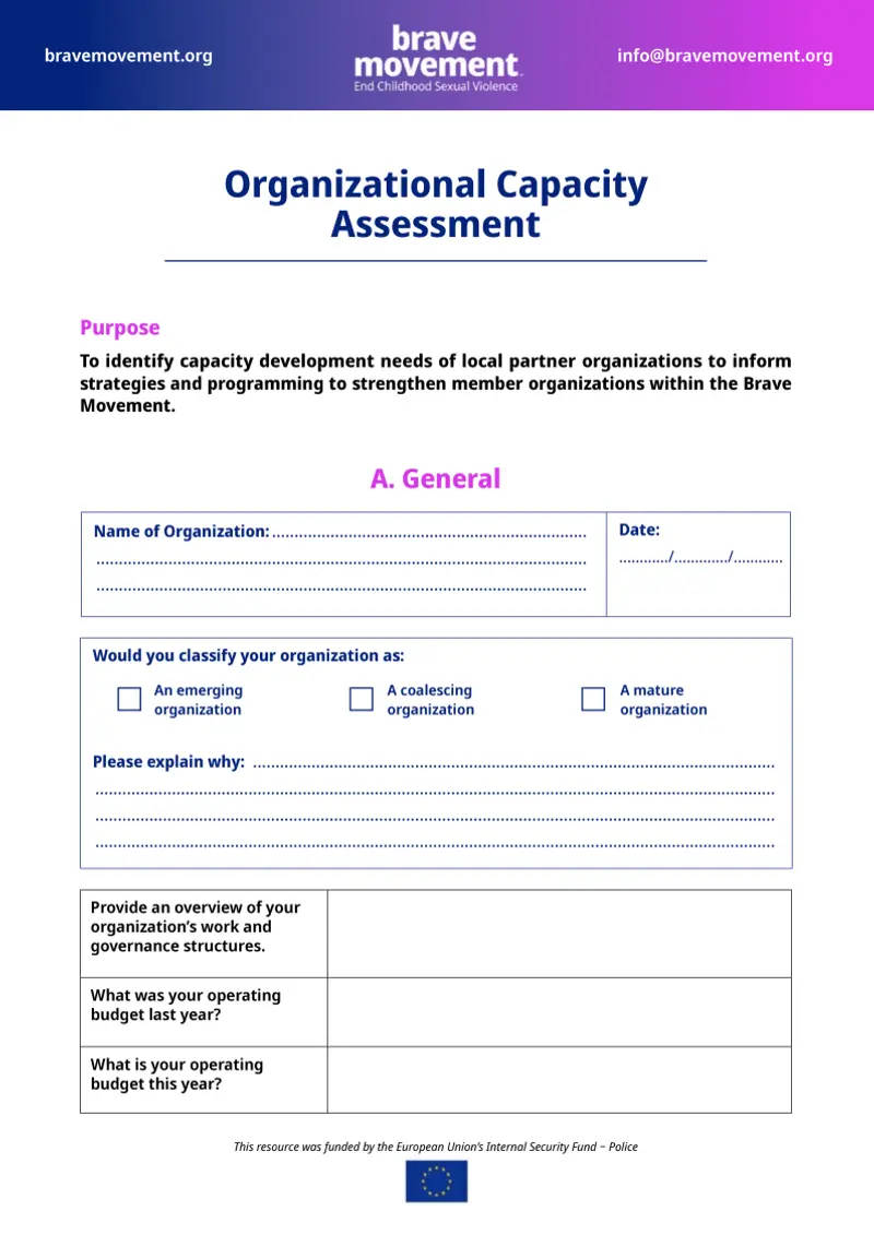 Organizational capacity assessment | Brave Movement